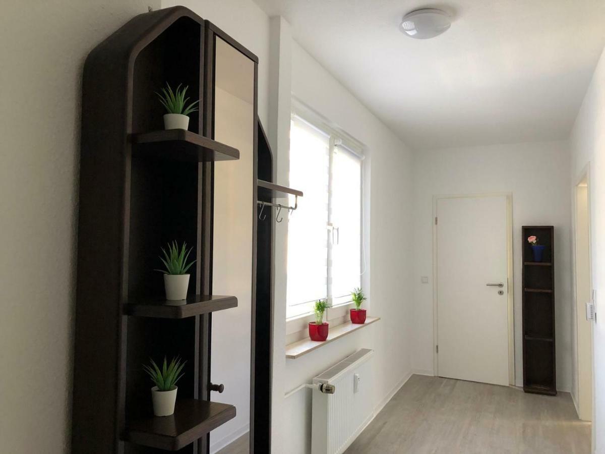 Helle Ferienwohnung An Der Rheinpromenade 50 Qm Duisburg Exteriör bild